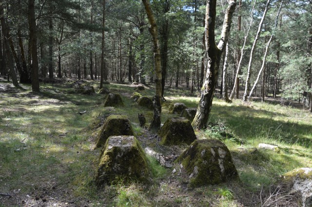 Anti tank obstacles, D-day training site at Hankley Common