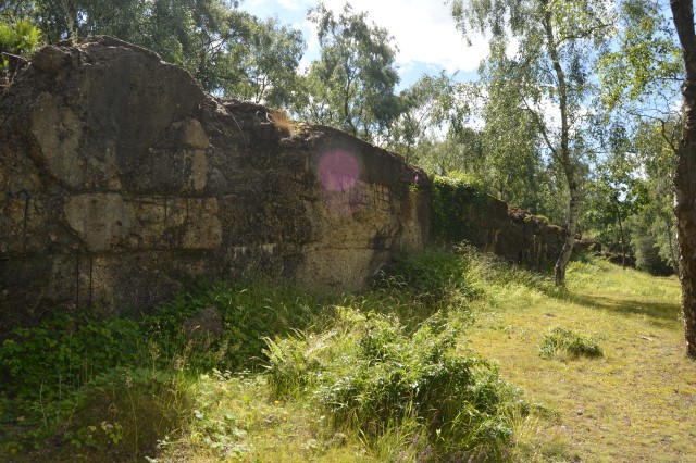 Damage to the Atlantic Wall, Hankley Common